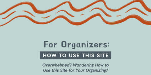 Screenshot of PDF version of organizer guide. Text reads: "For Organizers: HOW TO USE THIS SITE Overwhelmed? Wondering How to Use this Site for Your Organizing?"